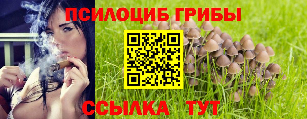 Псилоцибиновые грибы Psilocybine cubensis Туапсе
